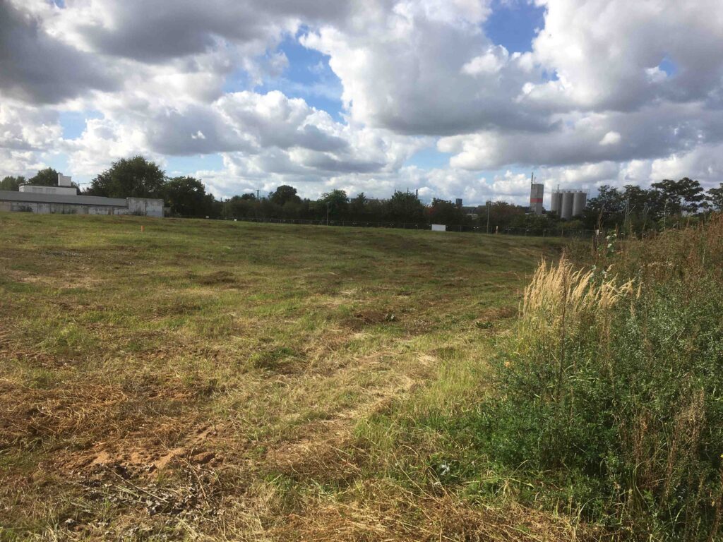 Auf früher industriell genutzten Grünflächen in Hattersheim entstehen neue Rechenzentren